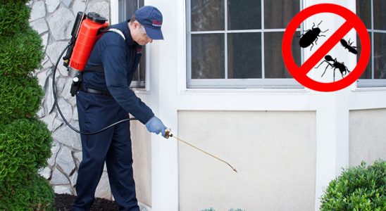 Dilovası Pire İlaçlama böcek ilaçlama ve haşere kontrolü — ilaclama-tr.com